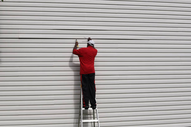 Best Fiber Cement Siding Installation  in Berrien Springs, MI